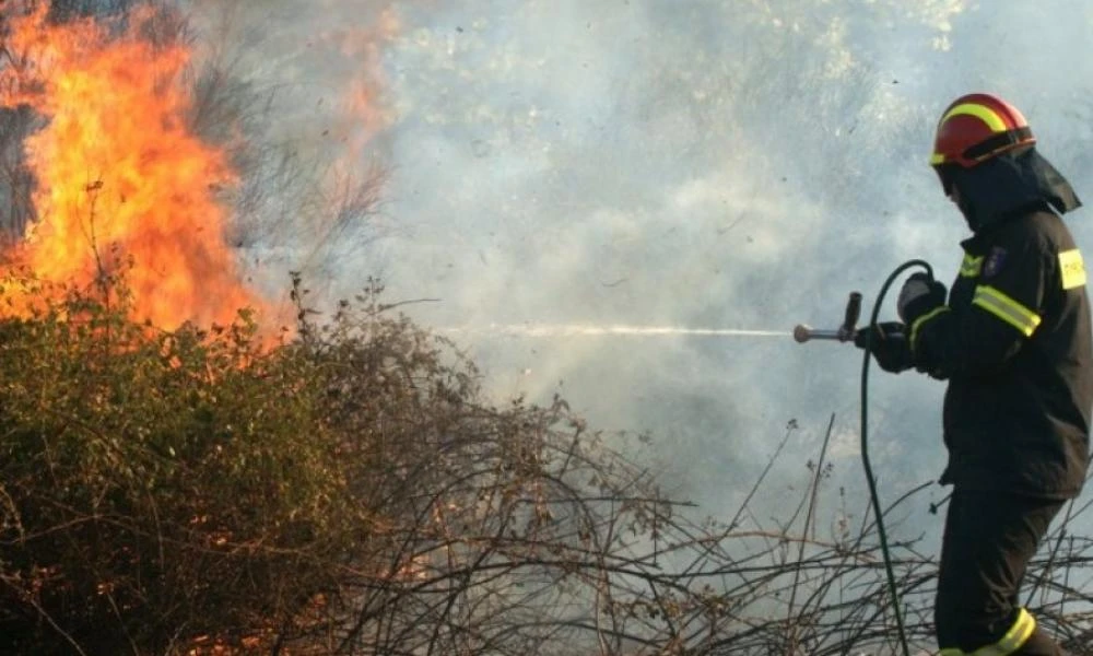 Κεφαλονιά: Προφυλακίστηκε ο εποχικός πυροσβέστης που κατηγορείται για 6 εμπρησμούς